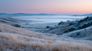 How to Start Meditating When You Feel “Too Busy” (A 3-Minute Entry Point That Works)