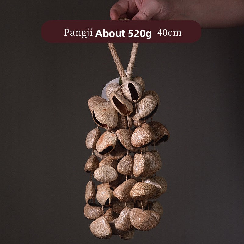 zensoullab Van Wood Fruit South African Fruit Shell Rattle Natural Plant Concert Accompaniment Small Sound Beam White Noise Healing Hand Wind Chime