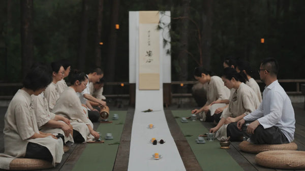 A Year of Meditation: How It Changed My Life
