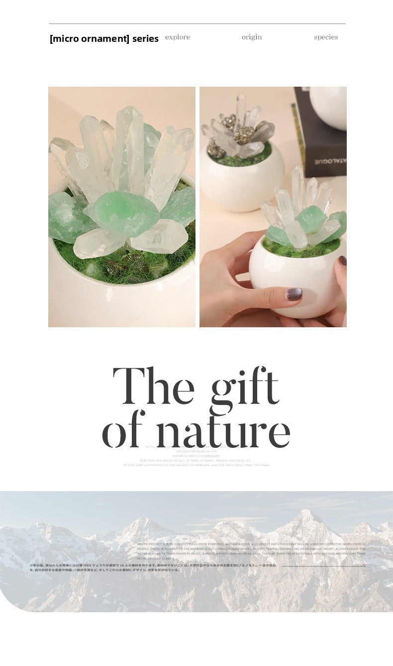 zensoullab Natural Crystal Raw Stone Mineral Potted Plant Artificial Crystal Column Fluorite Ornament Creative Desktop Aroma Stone Hot Sale