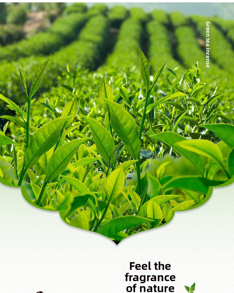 zensoullab Indian Incense Green Tea en Tea Authentic Indian Original Imported Handmade Aromatherapy Incense Stick 843