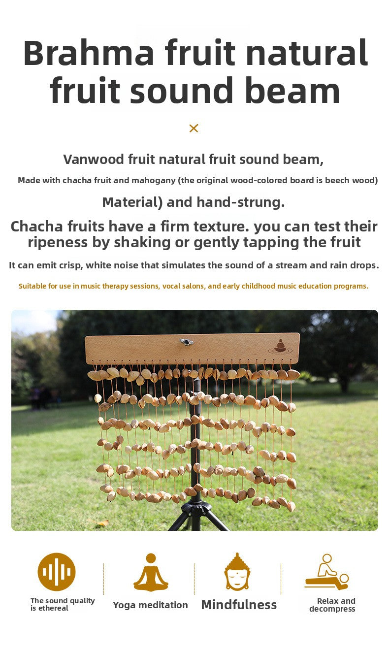 zensoullab South American Fruit Sound Bell Rattle Healing Accompaniment Unique Instrument Sound Bell Natural Plant Accompaniment Bell Fruit Bell