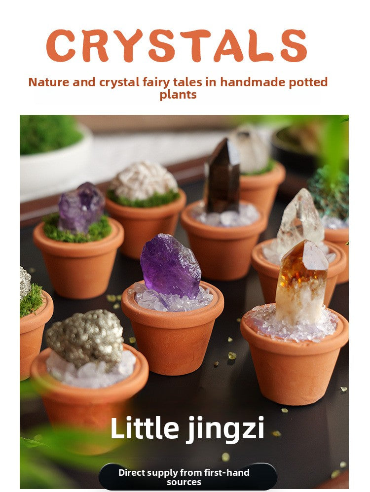 zensoullab Natural Crystal Raw Stone Mineral Pot Ornament Crystal Gemstone DIY Simulation Potted Plant Home Desktop Car Ornament