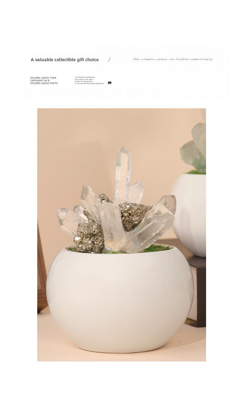 zensoullab Natural Crystal Raw Stone Mineral Potted Plant Artificial Crystal Column Fluorite Ornament Creative Desktop Aroma Stone Hot Sale