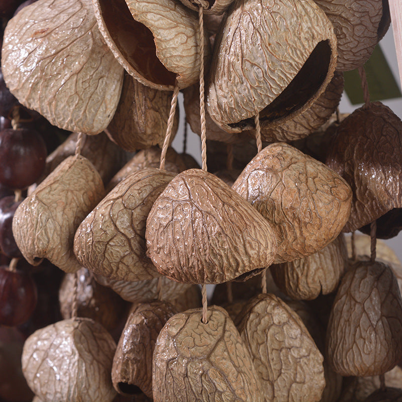 zensoullab Van Wood Fruit South African Fruit Shell Rattle Natural Plant Concert Accompaniment Small Sound Beam White Noise Healing Hand Wind Chime