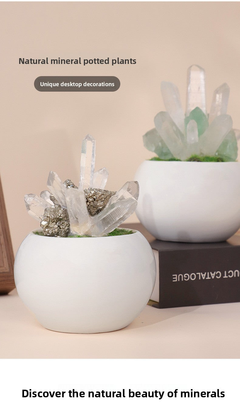 zensoullab Natural Crystal Raw Stone Mineral Potted Plant Artificial Crystal Column Fluorite Ornament Creative Desktop Aroma Stone Hot Sale