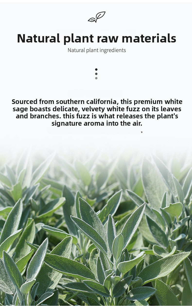 Zensoullab California White Salvia Officinalis Aromatherapy Himalaya Bowl Crystal Purification Plant Raw Materials Niche Aromatherapy Healing Domestic Incense Joss-Stick