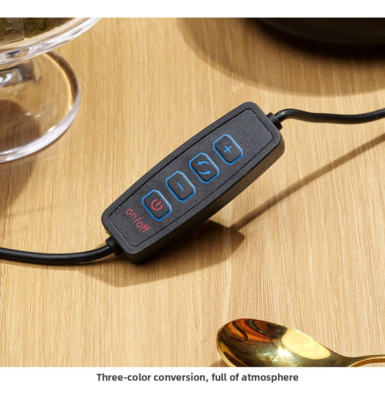 zensoullab Natural Crystal Lamp Pink Crystal Gypsum Raw Stone Night Light Bedroom USB Bedside Festival Atmosphere Lamp