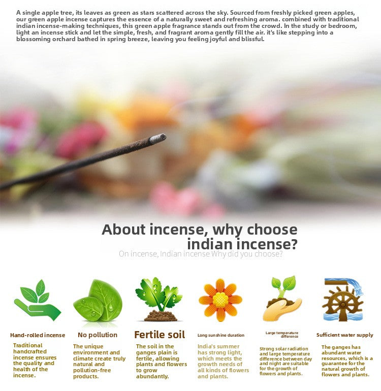 zensoullab Indian Incense Green Apple Large Box eneApple Original Imported Handmade Aromatherapy Incense Cones 413