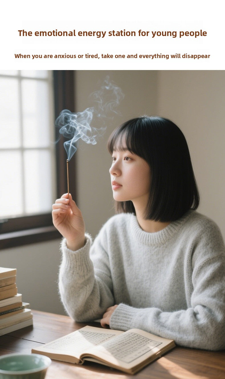 zensoullab Incense Sticks Agarwood Sandalwood Incense New Chinese Style Portable Gift Box Pocket Incense Home Aromatherapy