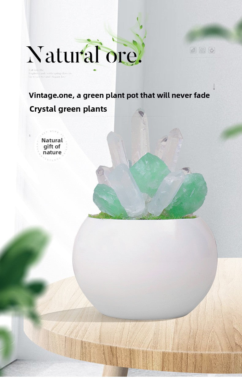 zensoullab Natural Crystal Raw Stone Mineral Potted Plant Artificial Crystal Column Fluorite Ornament Creative Desktop Aroma Stone Hot Sale