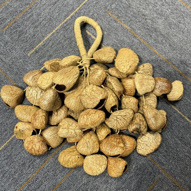 zensoullab Van Wood Fruit South African Fruit Shell Rattle Natural Plant Concert Accompaniment Small Sound Beam White Noise Healing Hand Wind Chime