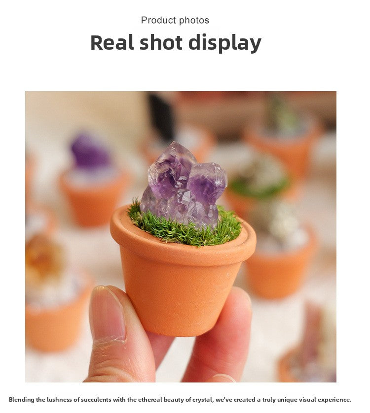 zensoullab Natural Crystal Raw Stone Mineral Pot Ornament Crystal Gemstone DIY Simulation Potted Plant Home Desktop Car Ornament