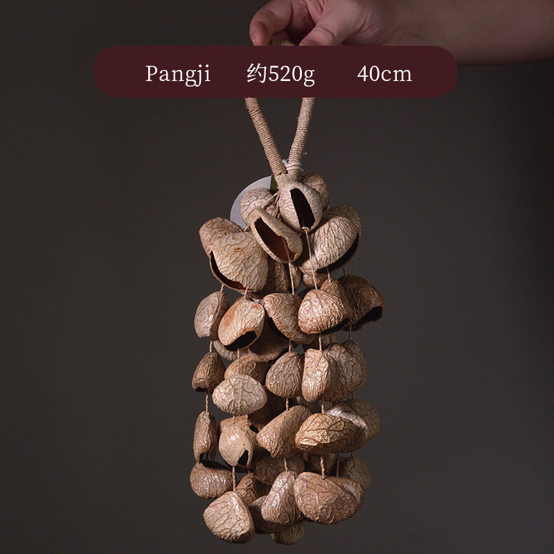 zensoullab Van Wood Fruit South African Fruit Shell Rattle Natural Plant Concert Accompaniment Small Sound Beam White Noise Healing Hand Wind Chime